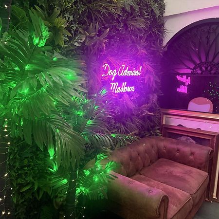 Dog Admiral - Urban Guest House Palma de Mallorca Ngoại thất bức ảnh